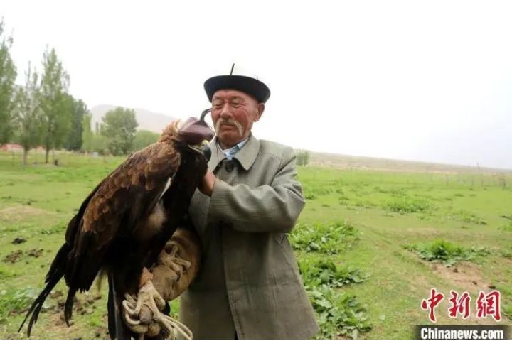 從捕獵到文化傳承 新疆馴鷹人60載守護「天空之魂」
