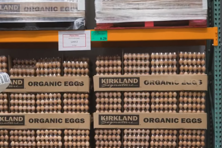 美國好市多自有品牌Kirkland旗下部分批號的有機雞蛋恐遭沙門氏桿菌感染，已全面下架回收。圖/取自TODAY《YouTube》官方頻道