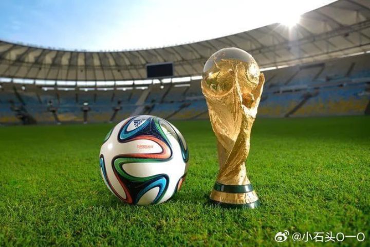 伊朗隊赴美參賽世界杯　簽證仍卡關　足協要求FIFA保證參賽權益