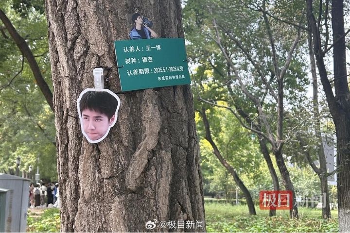 北京地壇公園現「明星認養樹」　粉絲千里「尋樹打卡」