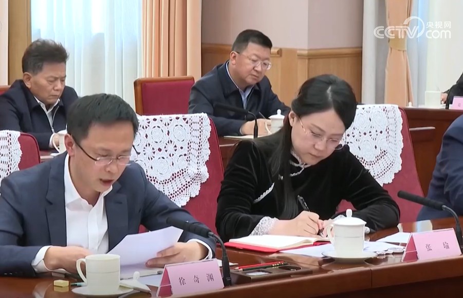 徐奇淵（左）受邀與會，他今年五月曾提出「中國內需越強，關稅戰越佔優勢」的觀點。圖/取自CGTN