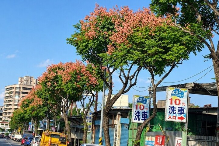 偏東風帶來秋老虎小心防曬　薔琵颱風生成下周後半以強颱之姿接近