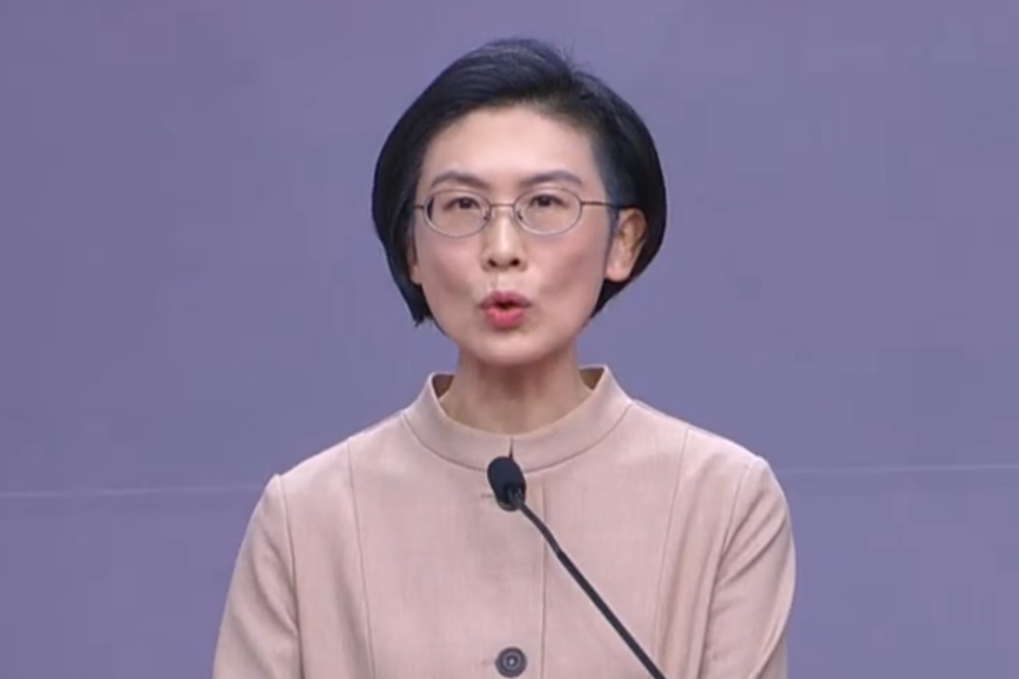 民進黨初選政見發表會　林岱樺避談是否脫黨參選 