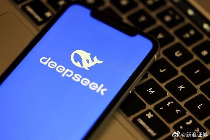 DeepSeek重啟融資,不一定代表它放棄技術導向,反而可能意味著「技術理想」進入需要資本支撐的新階段。圖/取自新浪財經微博
