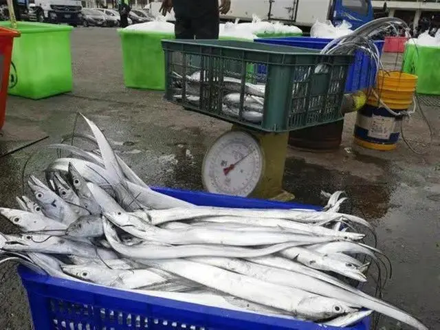大陸官報引學界指稱，大陸不排除終止ECFA，屆時如白帶魚等產貨物進口都得重新徵稅。圖／引自極目新聞