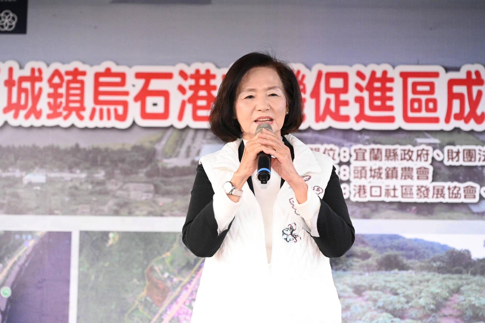 宜蘭縣長林姿妙不滿其縣長職務遭停職，因此提起行政訴訟。圖/取自林姿妙臉書