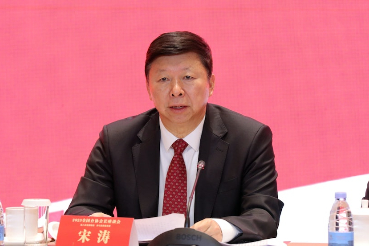 呼應「鄭習會」計畫？宋濤新年寄語：願與台灣各界就國家統一對話協商