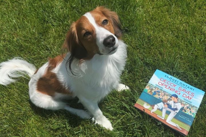 Dekopin拯救揭幕戰！大谷翔平為愛犬出慈善繪本
