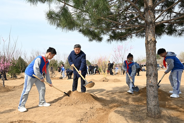 美國總統川普2日宣布「對等關稅」後，大陸國家主席習近平於3日和其他6名中共中央政治局常委在北京植樹。圖/取自新華社