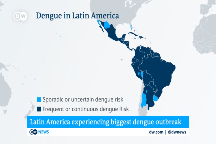 美洲今年登革熱確診人數破歷史紀錄。圖/取自DW官方《YouTube》頻道