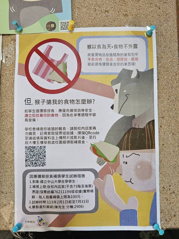 中山大學日前張貼公告，宣布試辦因應獼猴掠食的補償措施。圖/中央社