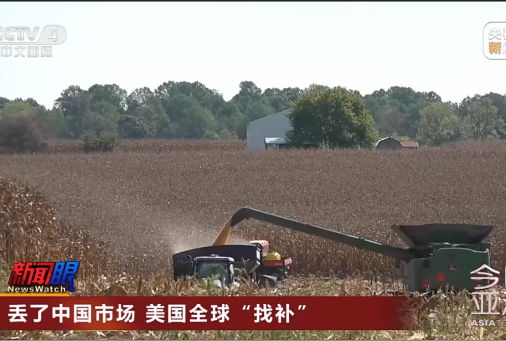 【毒油風暴】藉「苦茶油原料來自中國」轉移焦點？去年被拒買而變質的美國大豆才是毒油根源