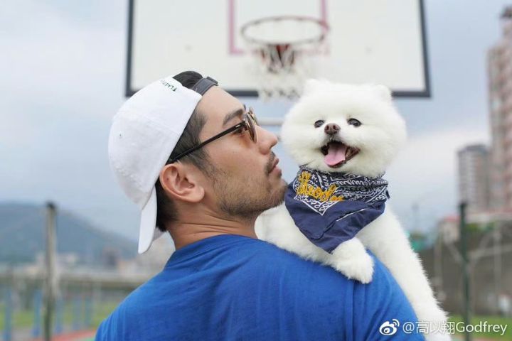 跨時空重逢 高以翔愛犬帝歐離世 6年守望終與主人重聚
