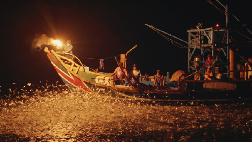 金山磺港蹦火仔的磺火捕漁是台灣特有的傳統捕魚法。圖/取自新北市青年局官網