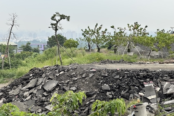 高雄大坪頂變「柏油山」！許采蓁怒揭綠地遭破壞、賴瑞隆十年承諾成空