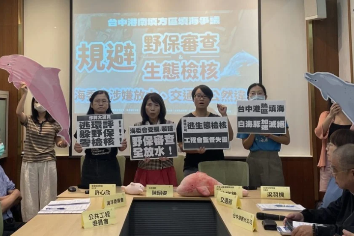 百億公共工程爆「資料造假」！陳昭姿：明明有白海豚卻全勾「否」