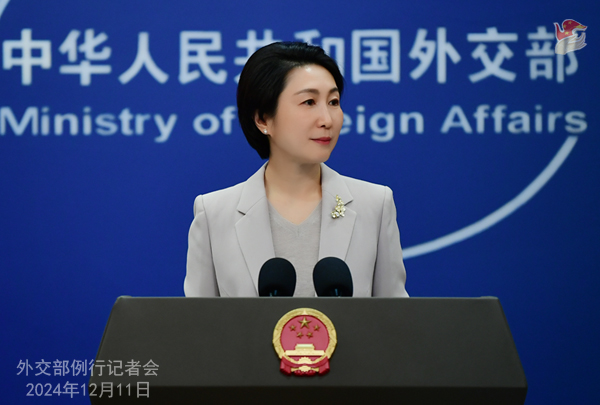 針對南韓總統尹錫悅指陸製的太陽能設備將會破壞森林，大陸外交部發言人毛寧12日回應：「對韓方上述言論深感意外和不滿」。圖/取自大陸外交部官網