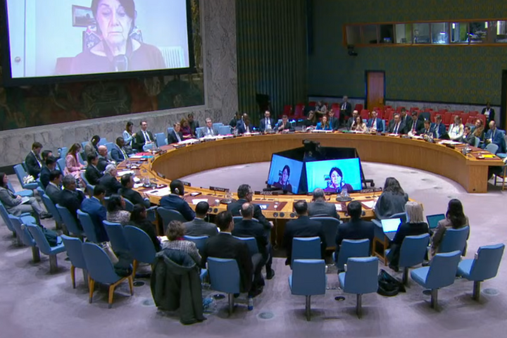 【梅花評論】不是另起聯合國    而是聯合國可替代