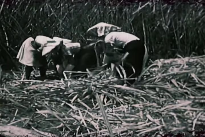 日本殖民政權亦扶植壟斷資本擴張,控制電力、銀行、製糖等產業。圖/取自寶島重光影片