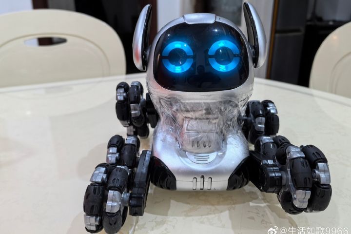 從工業巡檢到家庭陪伴　2026年機器狗能夠做什麼？