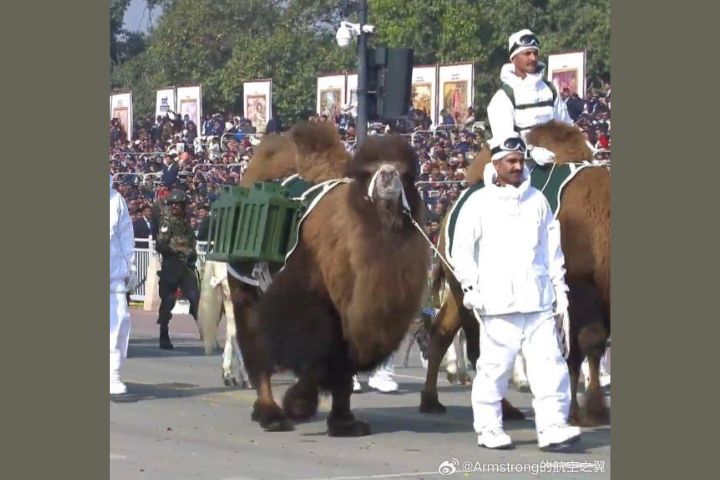 印度閱兵秀「毛茸茸戰力」　駱駝、矮馬、猛禽與軍犬首組方隊