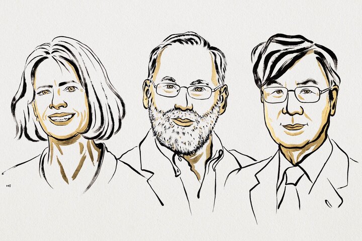 【2025諾貝爾獎】生醫獎由3位科學家共享　表彰在外周免疫耐受方面發現