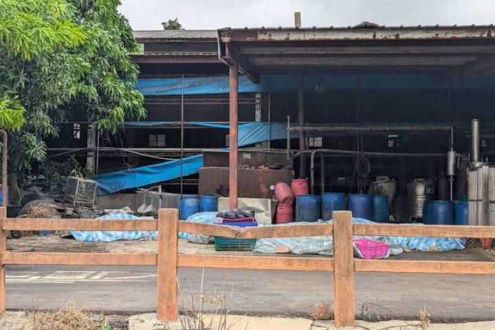 台中案場9月初早有非洲豬瘟?市府:將回溯15天清查