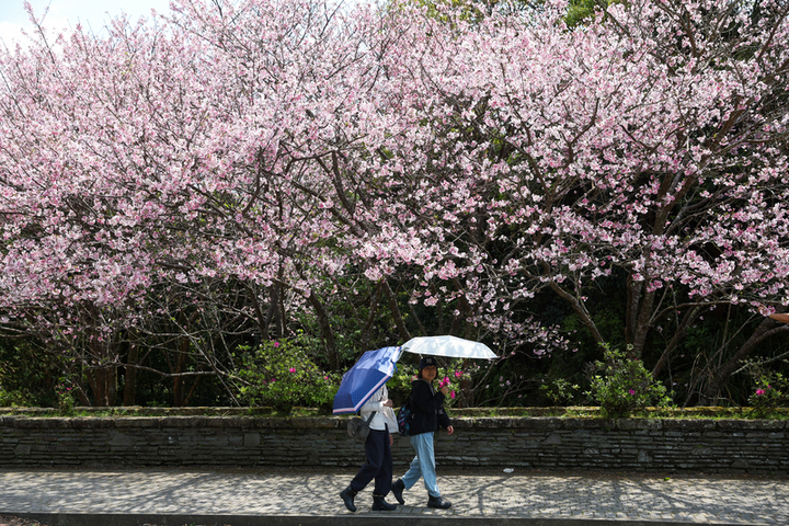 鋒面通過北台灣有感降溫　台中以北上半天雨勢較大