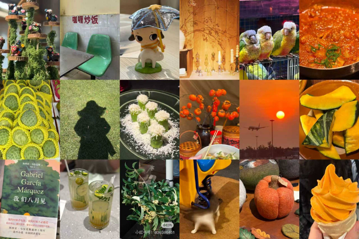 近日，大陸社媒上興起Color Walk（色彩漫步）風潮，即通過在散步中收集同一顏色的影像，拼貼成「色彩日記」，被認為具有放鬆心靈、解壓療癒的效果。圖／小紅書用戶「西湖霸主」