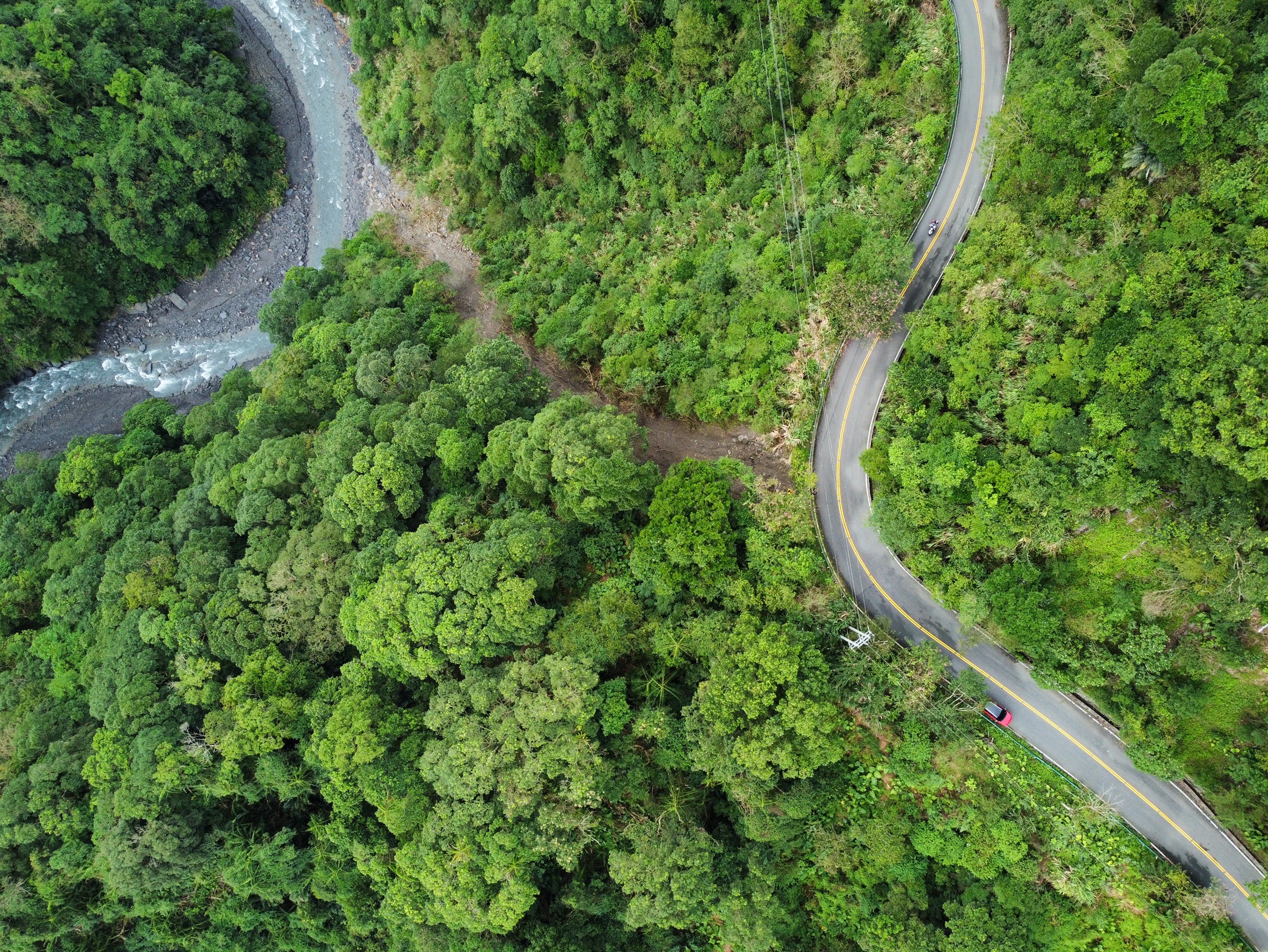 經相關人員巡查，太平山區內幾處道路受地震影響，須進行安全強化。維護工程進行期間將啟動交通管制。圖/取自林業及自然保育署網站