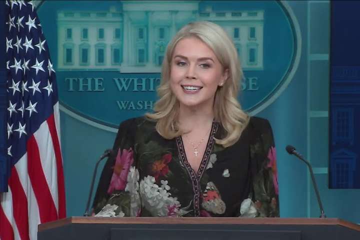 白宮官員：川普評估奪取格陵蘭方案　出動美軍始終是選項