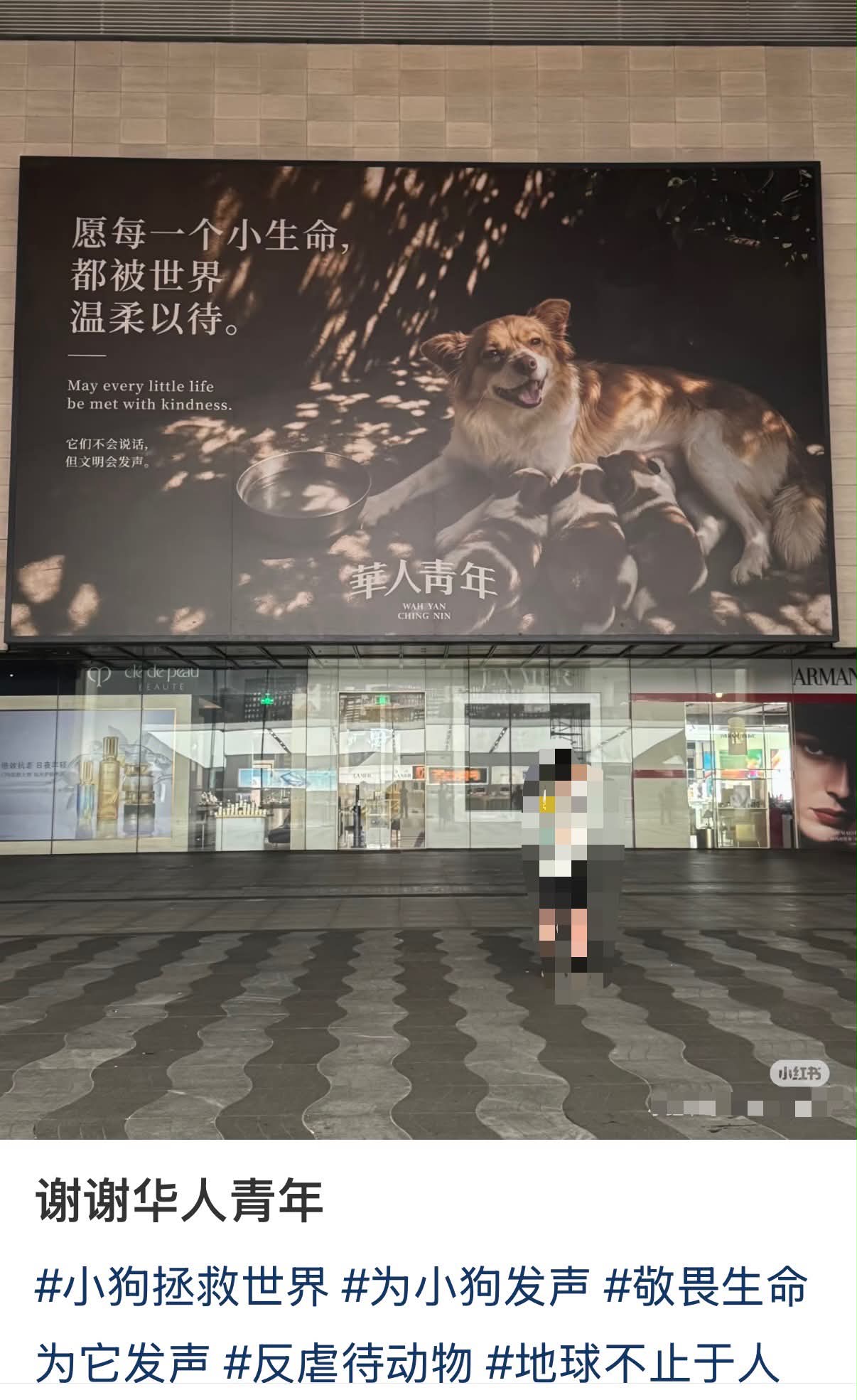 中國大陸的重慶、成都、深圳、福建、濰坊、杭州,以及香港都陸續有看板、電視牆亮起旺旺一家的大螢幕照片。圖/取自Threads