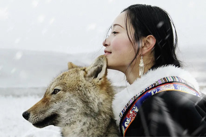 上映近十年再翻紅！《重返狼群》短影音推波助瀾　話題播放破28億