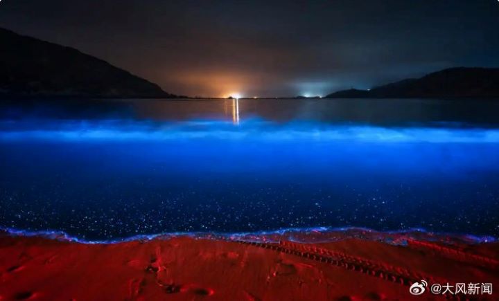 每年的4月至6月，是福建平潭島「藍眼淚」自然奇觀的高發季。圖/取自大風新聞微博