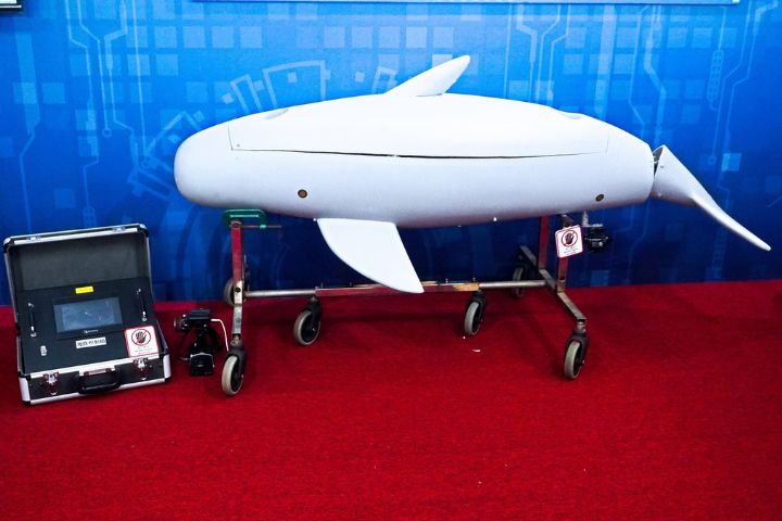 敦睦艦隊訪聖露西亞　疑似「機器海豚」水下偵蒐裝備意外曝光