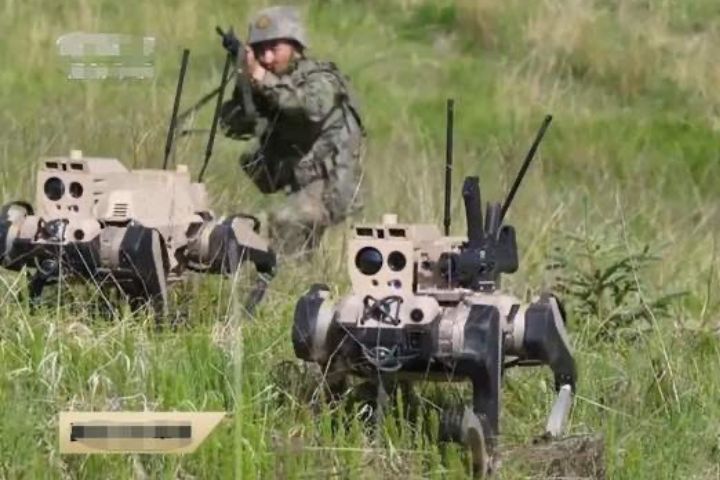 首波攻台不用人？共軍「機器狗＋機器狼」打造無人登陸部隊曝光