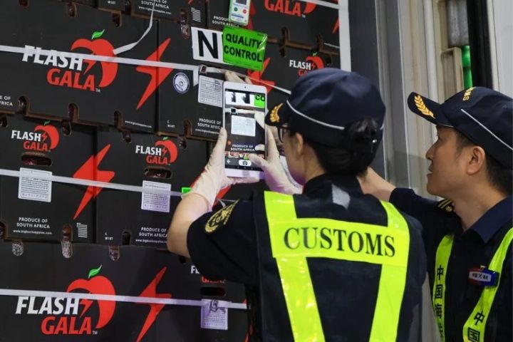 在深圳灣口岸，大陸海關關員查驗即將零關稅通關的南非蘋果。圖/取自新華社