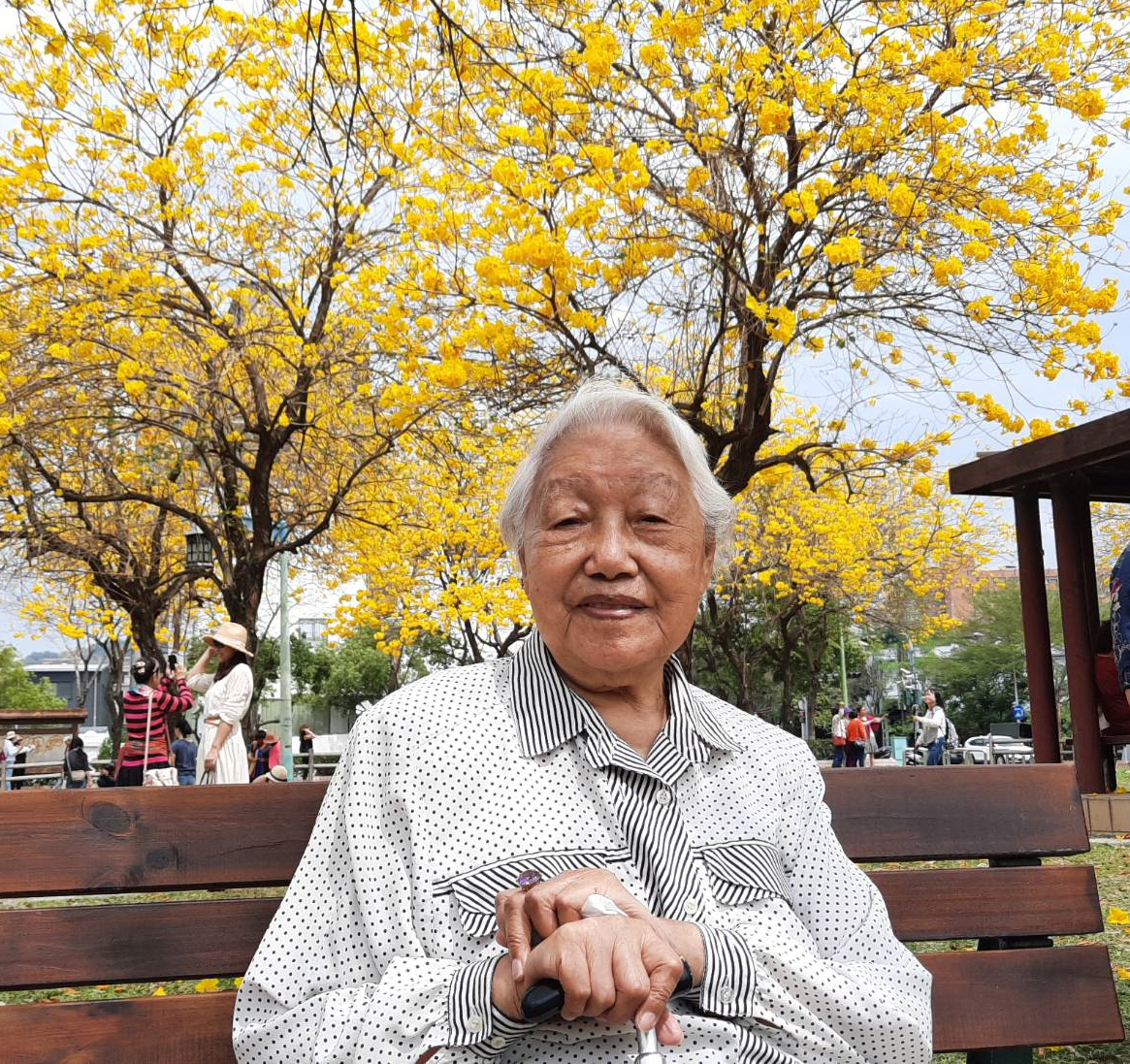 回望歲月,為時代變遷做見證。圖/賈李樹芝提供