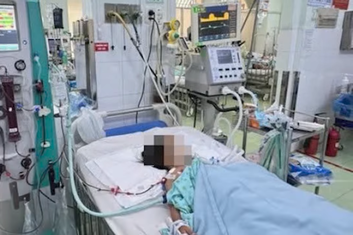 越南胡志明市登革熱疫情惡化單周507確診　許多兒童重症休克待救