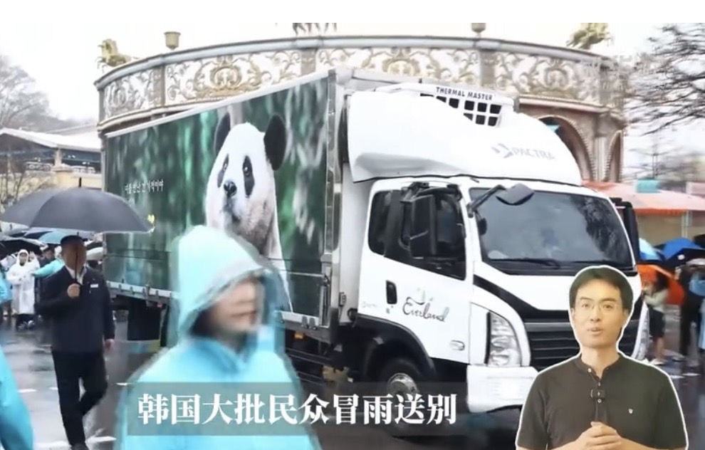 韓國大批民眾冒雨送別返回中國的「福寶」、「金喜」。圖／截自新華社