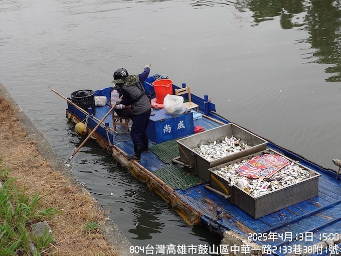 高雄市環保局人員於4月13日在愛河撈出大量的魚類屍體。圖／高雄市環保局提供
