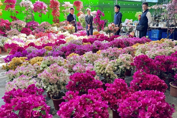 除夕東北季風增強北台灣轉濕涼　金馬、西半部留意局部霧