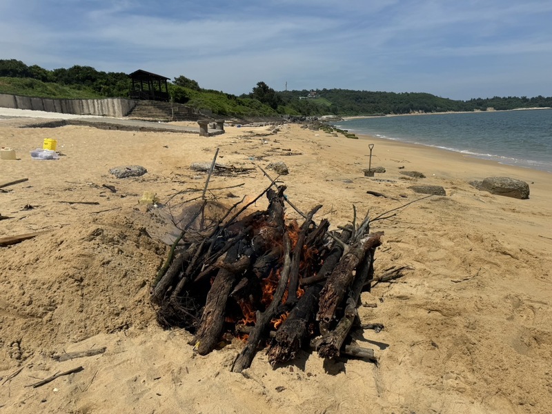 金門烈嶼岸沙灘發現漂流豬屍，防疫所獲報派員就地焚燒屍體，但其檢體經檢測呈非洲豬瘟病毒陽性。圖/中央社