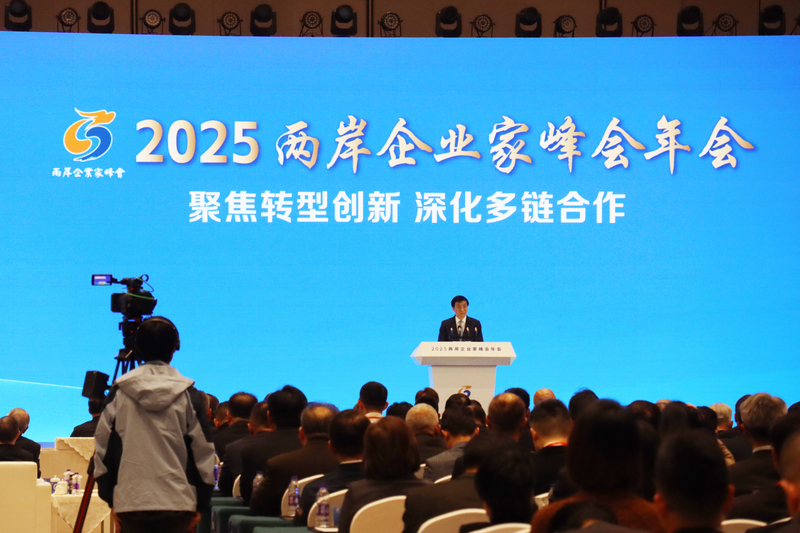 王滬寧表示,維護九二共識等原則就是為台企創造良好發展環境。圖/中央社