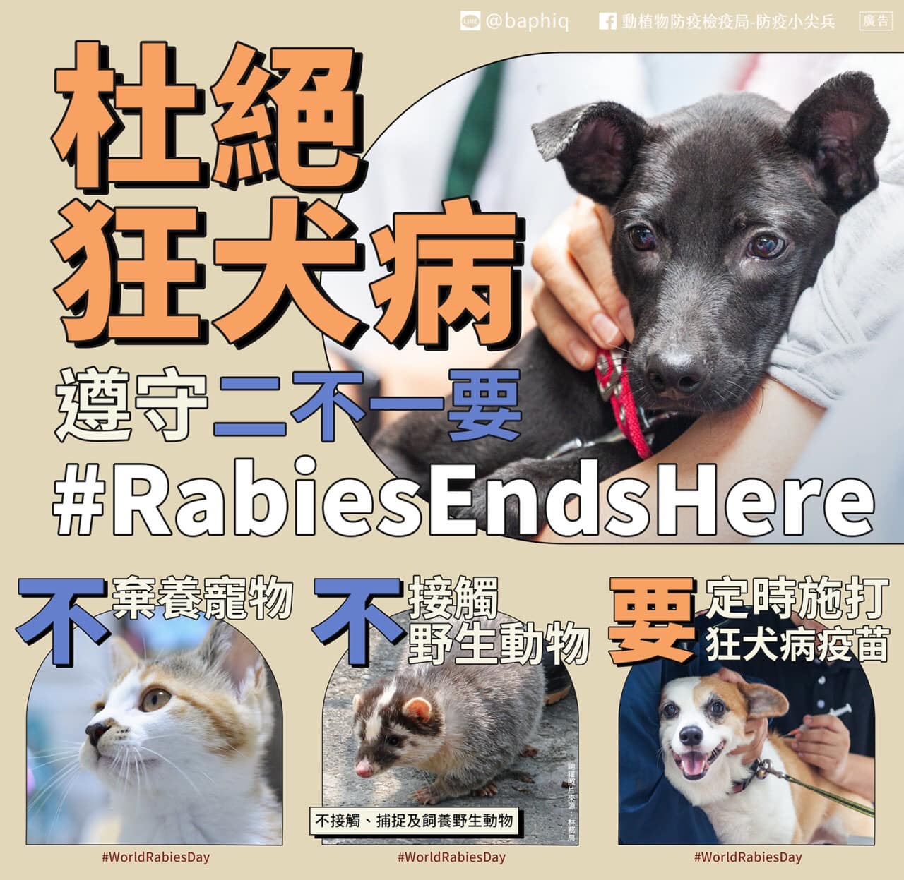 杜絕狂犬病請謹記「二不一要」。圖/取自苗栗縣動物保護防疫所官網