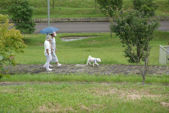今天各地天氣炎熱。圖/取自中央社