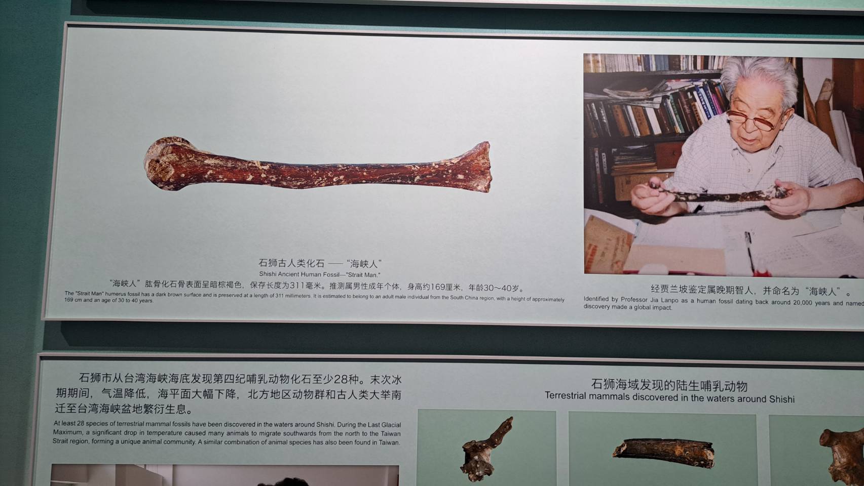 大陸學者認為，「海峽人」的發現為研究台灣早期人類源自大陸的歷史淵源提供有力證據。圖/記者宋秉忠攝