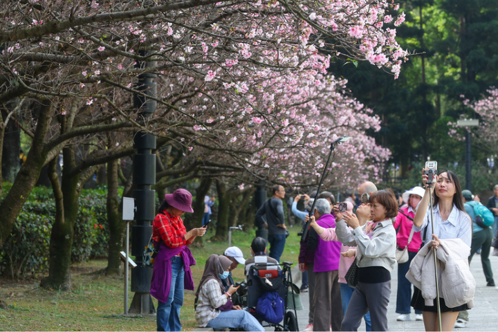 高溫好天氣剩一天　25日起轉涼轉雨　228連假雨區擴大
