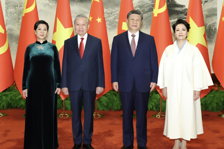 會越共總書記蘇林　習近平：彼此保持戰略定力、密切高層交往