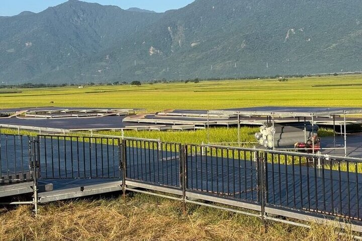 薔琵警報解除氣溫回升北部有雨　新颱煙花又生成